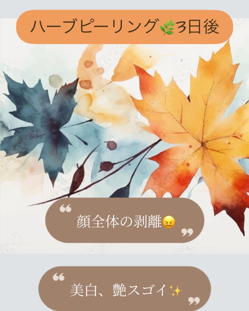 ブログ