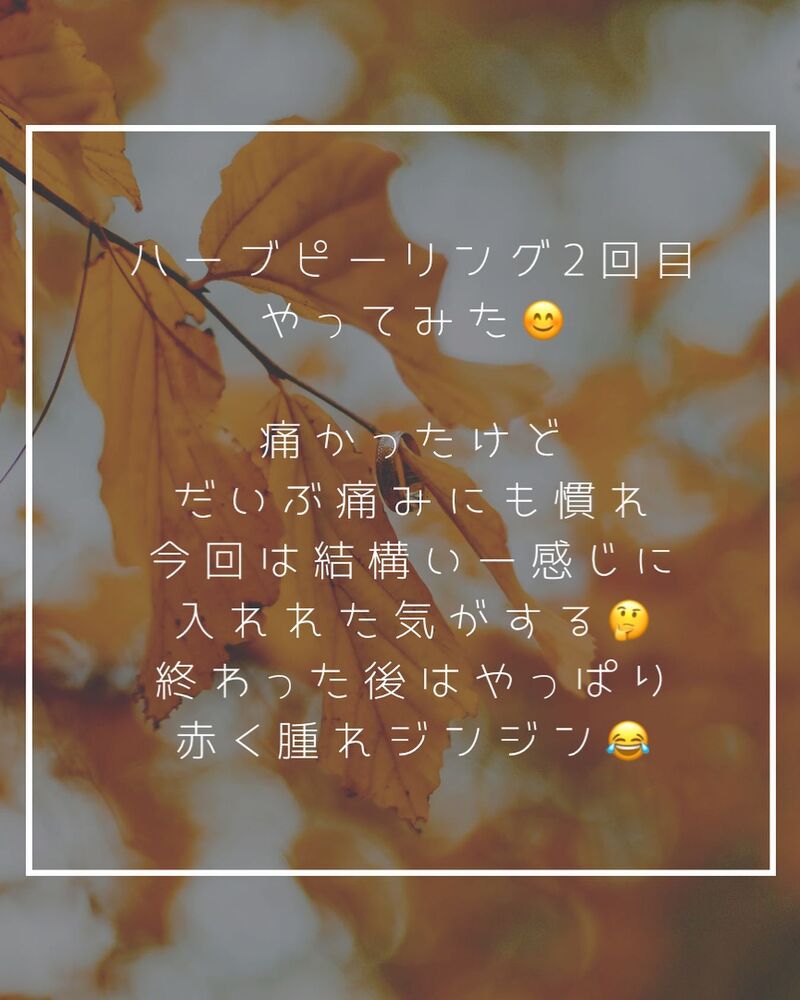 ブログ