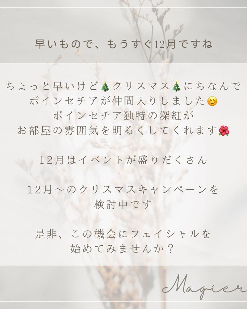 ブログ